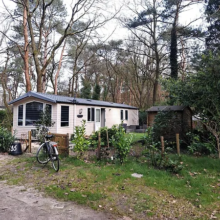 Ruim Chalet, Midden In Het Bos! Nunspeet Exterior photo