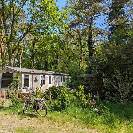Ruim Chalet, Midden In Het Bos! Nunspeet Exterior photo