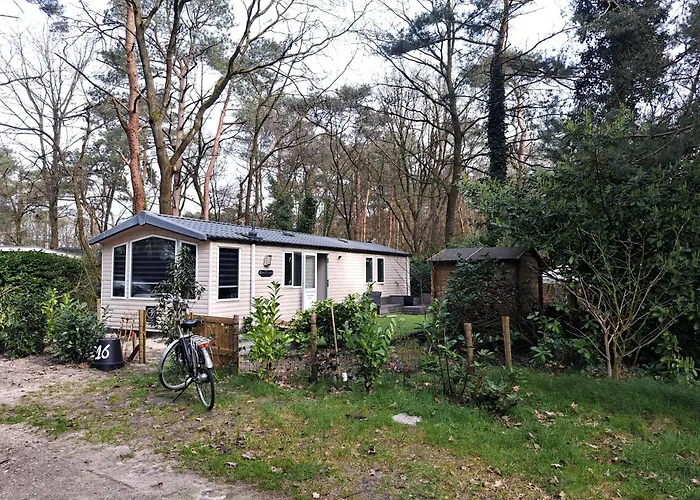 Ruim Chalet, Midden In Het Bos!