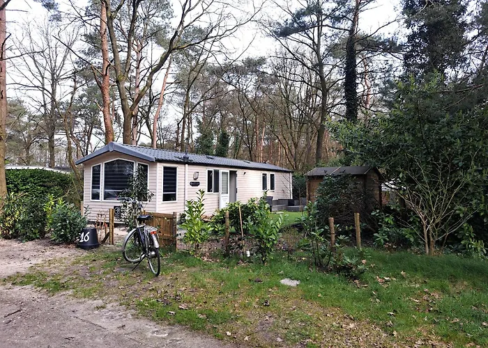 Ruim Chalet, Midden In Het Bos!
