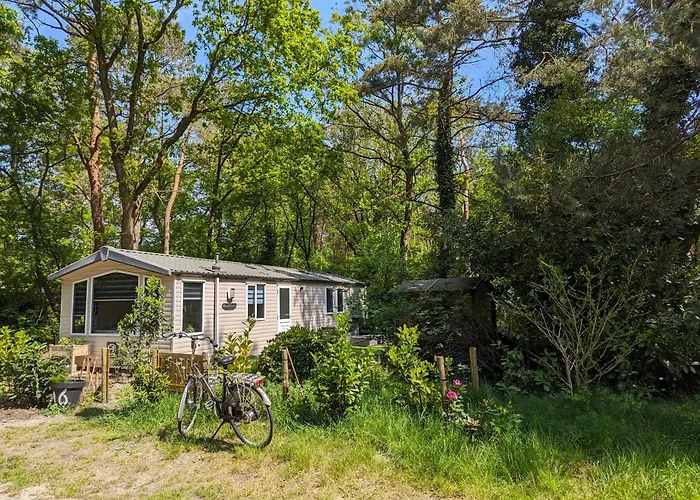Ruim Chalet, Midden In Het Bos!