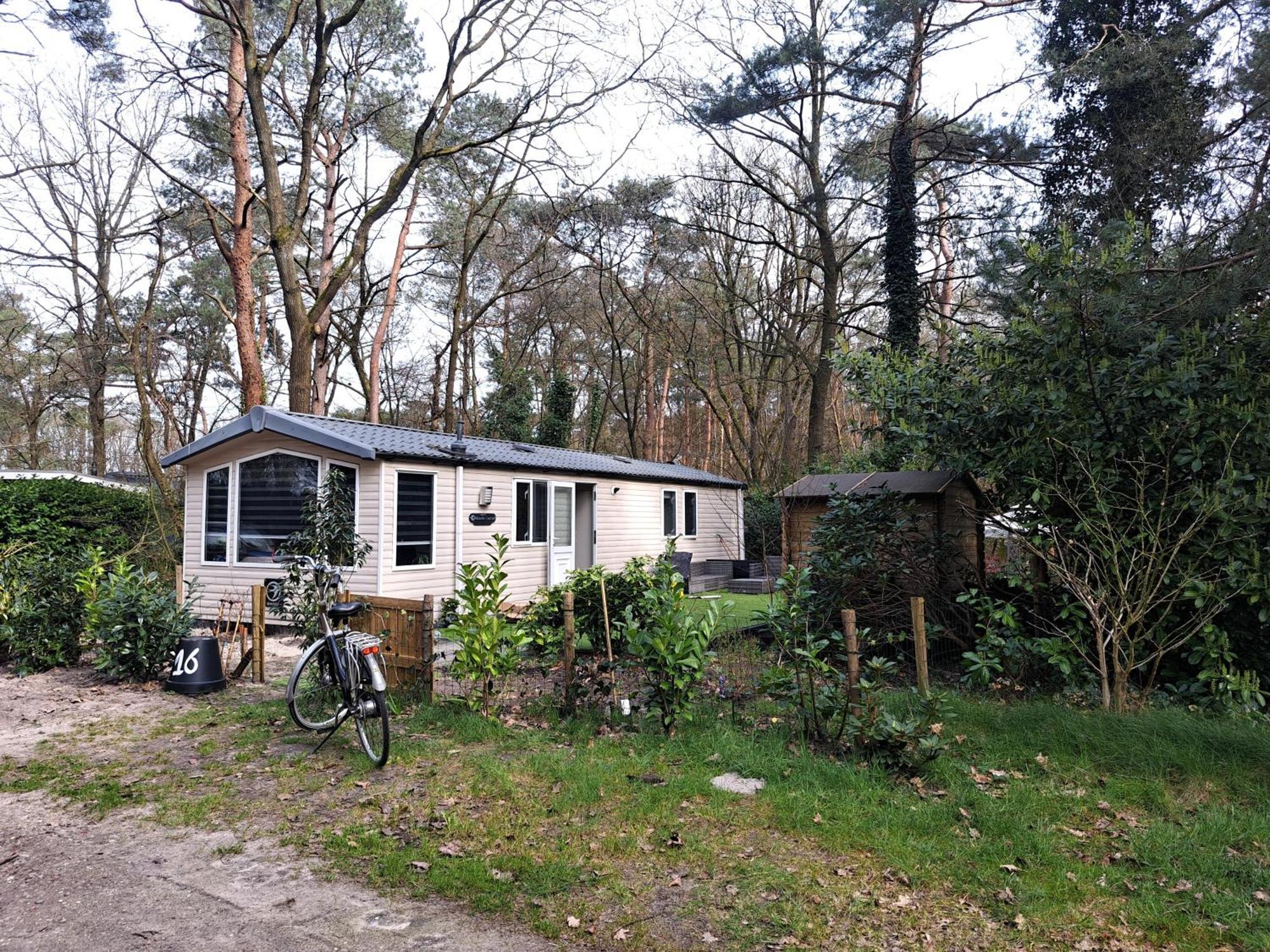 Holiday home Ruim Chalet, Midden In Het Bos!