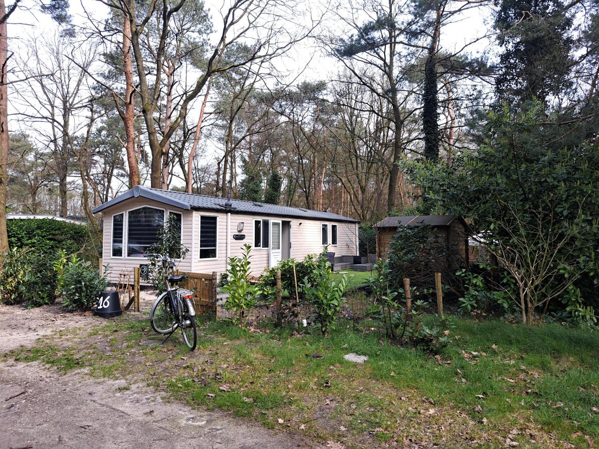 Ruim Chalet, Midden In Het Bos! *
