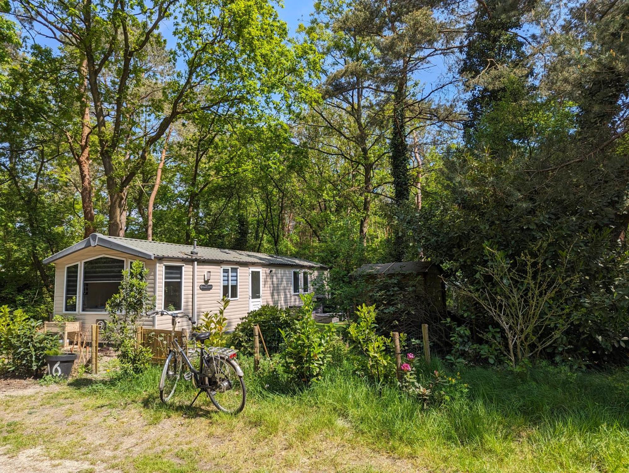 Ruim Chalet, Midden In Het Bos! *